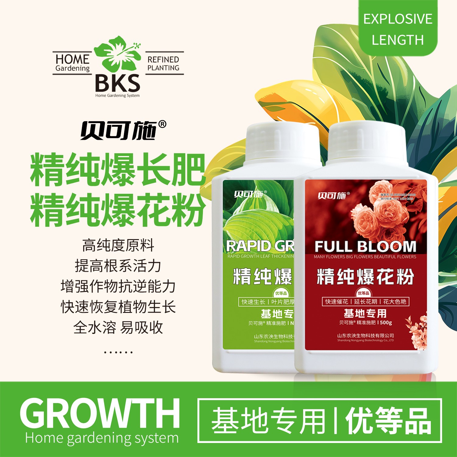 贝可施精纯爆长肥生长肥1号爆花粉促根肥料养花高磷高钾开花种菜