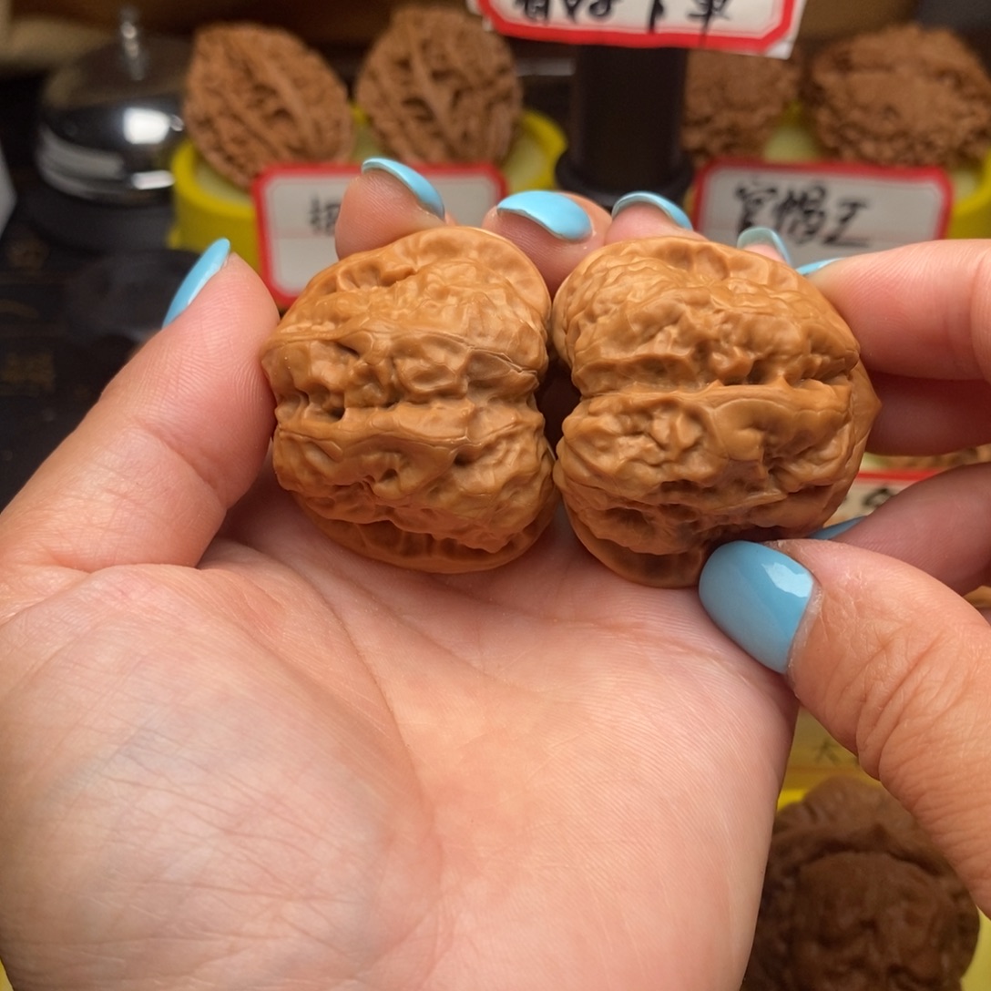 菩提籽类三角蛙蛙