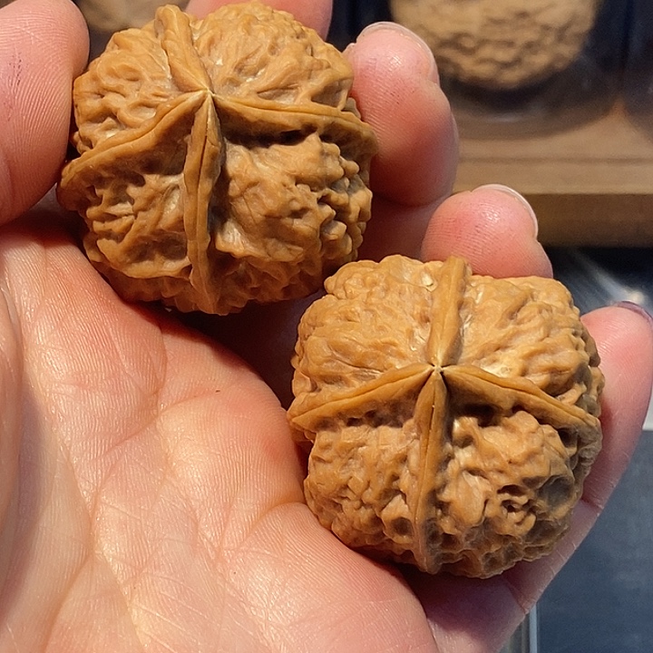 文玩核桃把件6677777777