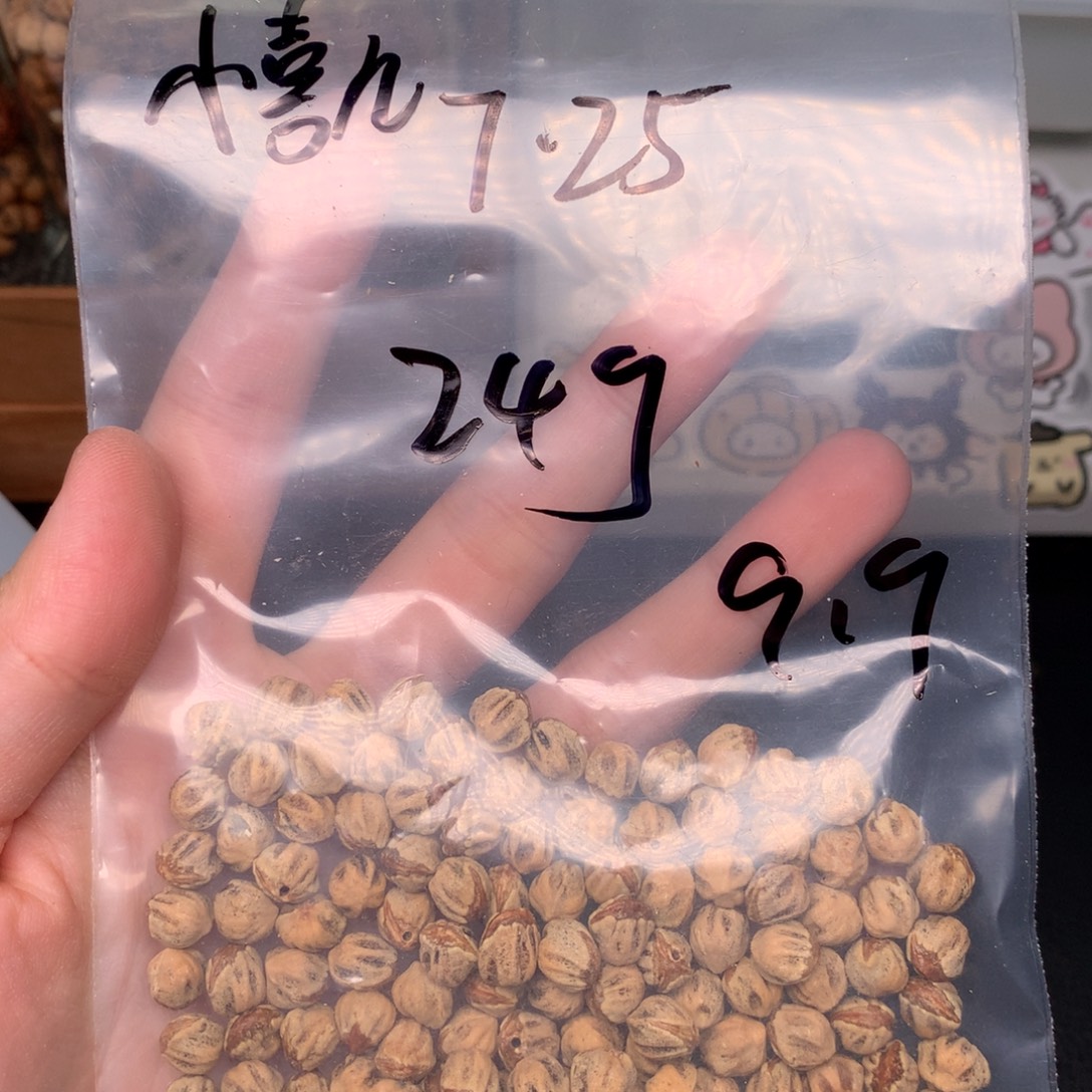 小***儿柏香籽/百香籽吊坠
