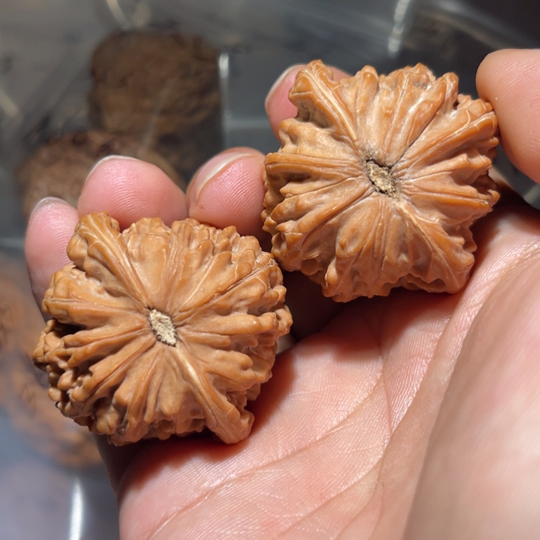 晴***娃吊坠文玩核桃41磨盘核桃