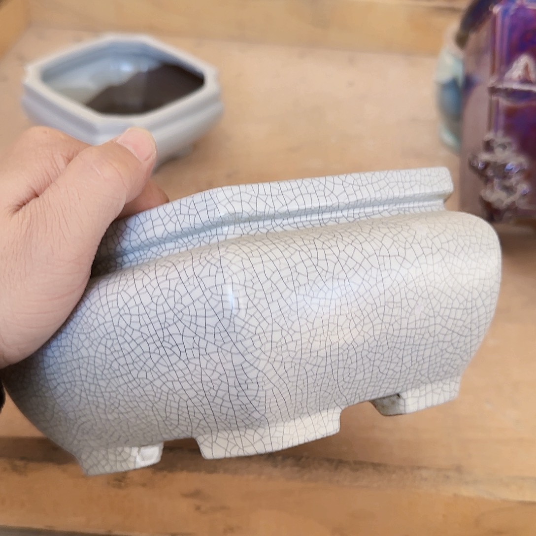 陶瓷花盆特价上新