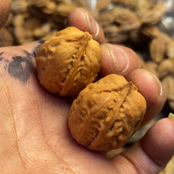 吊坠文玩核桃东北特产259