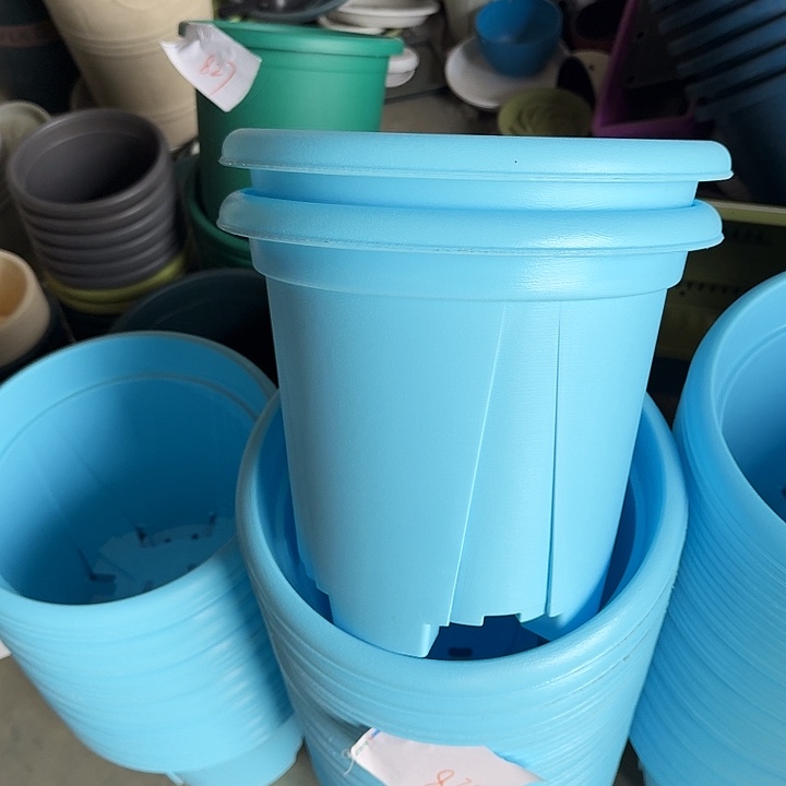 编号830瑕疵5个无托