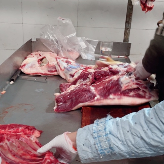 【闪购商品】冷冻保存30天包装河北省A*洋