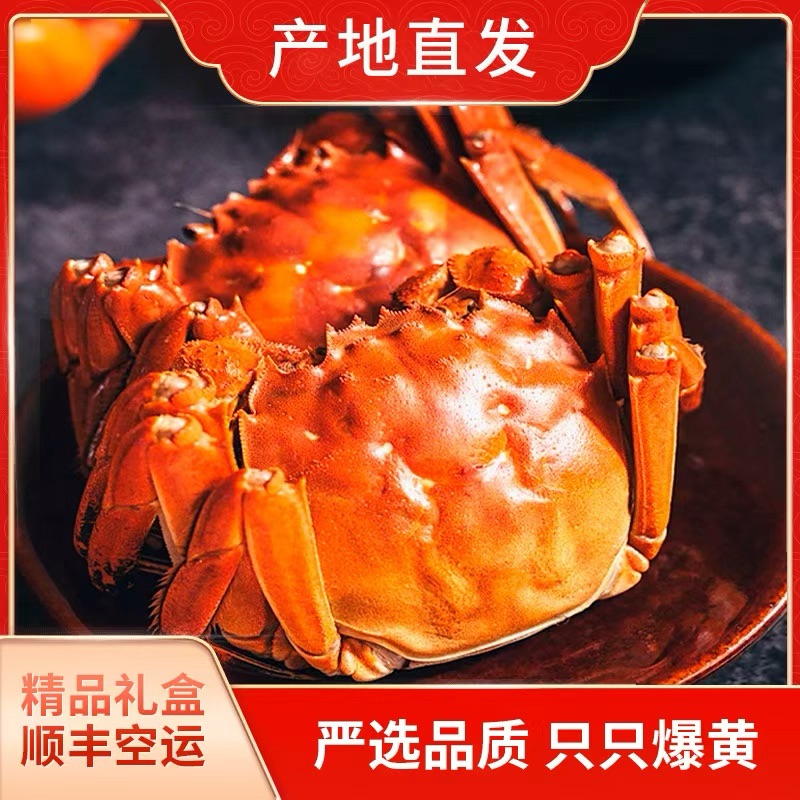 阿庆嫂金秋大闸蟹正当季(3两×8只)新鲜大螃蟹鲜活发货黄油蟹母蟹