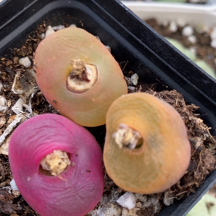 u****44115一组一组一组