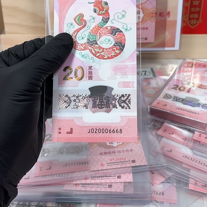 塑料蛇钞-6668–/———————-