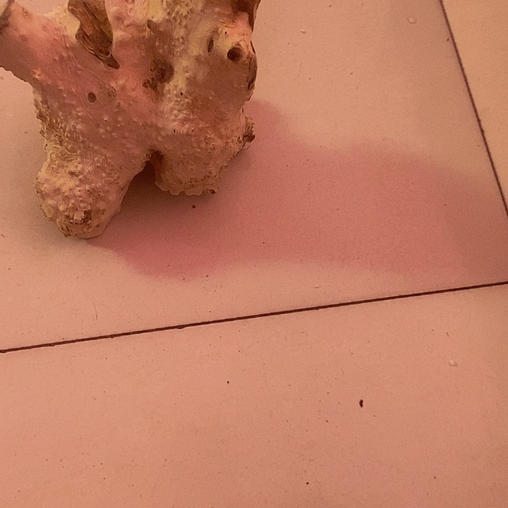 m***a黄杨木等多种矿产