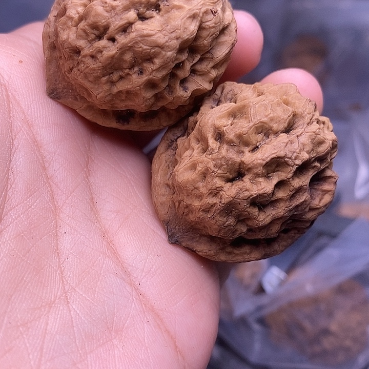 文玩核桃把件   202