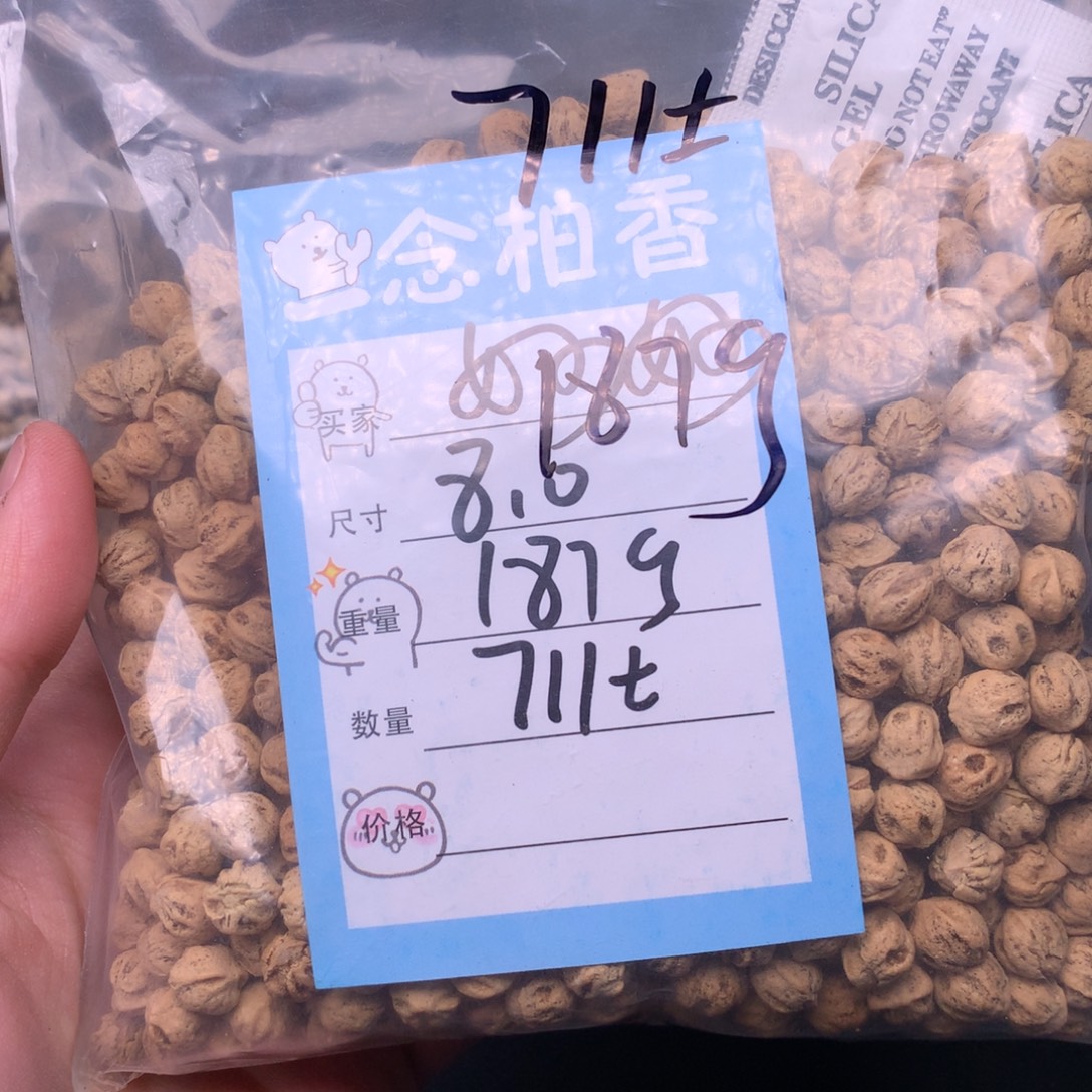 妙***都吊坠柏香籽/百香籽