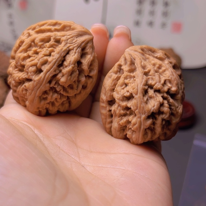 核桃专用链接，全品大粗筋异形