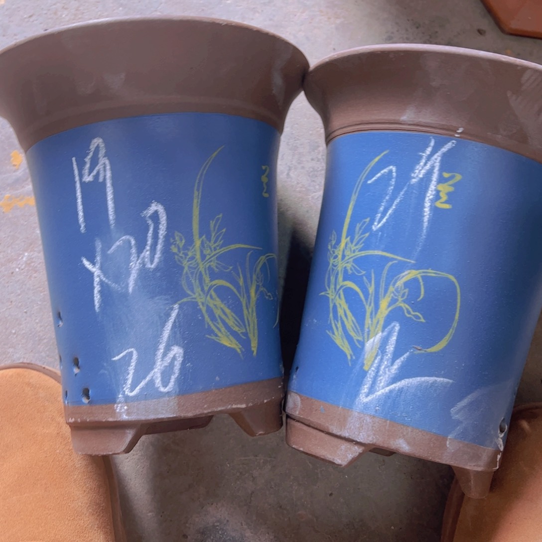 紫砂26……………………………………