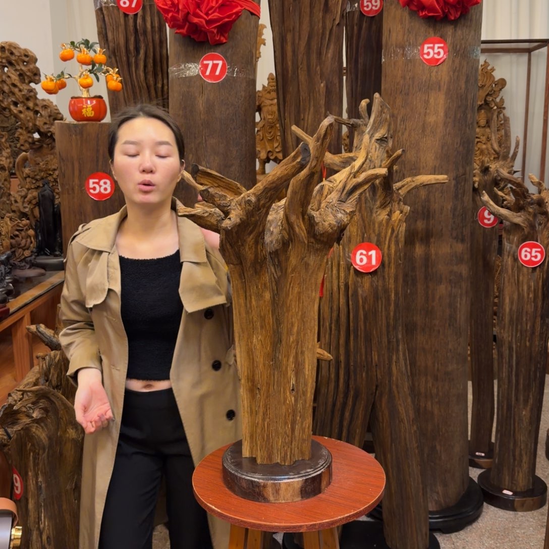 强***国沉香材料沉香原材料