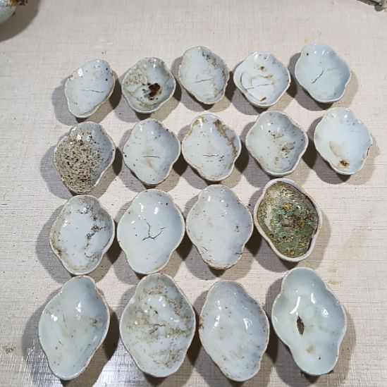 瓷片瓷片瓷片瓷片瓷片