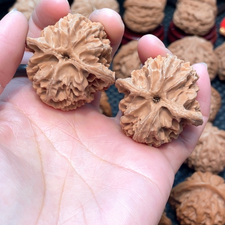 原装苹果园4.05全品无修。