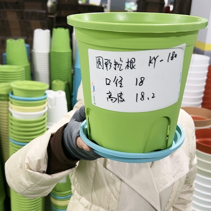 正品圆控口18高18果绿带托8只