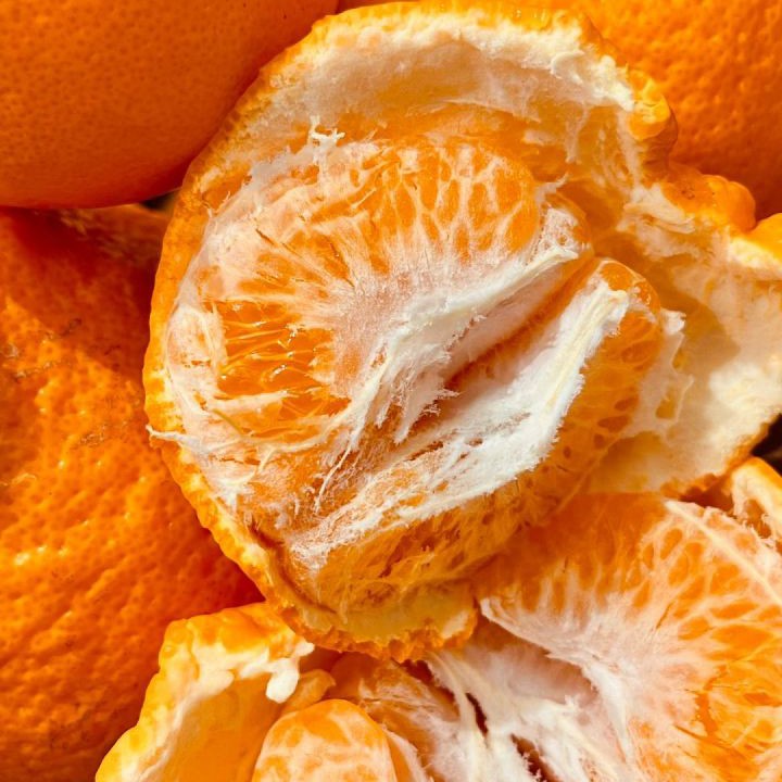 四川春见粑粑柑29.9/筐净重5斤，产地四川四川省