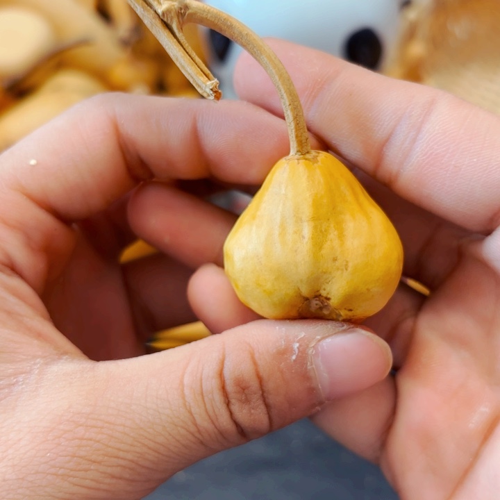 .*七88888888888888888