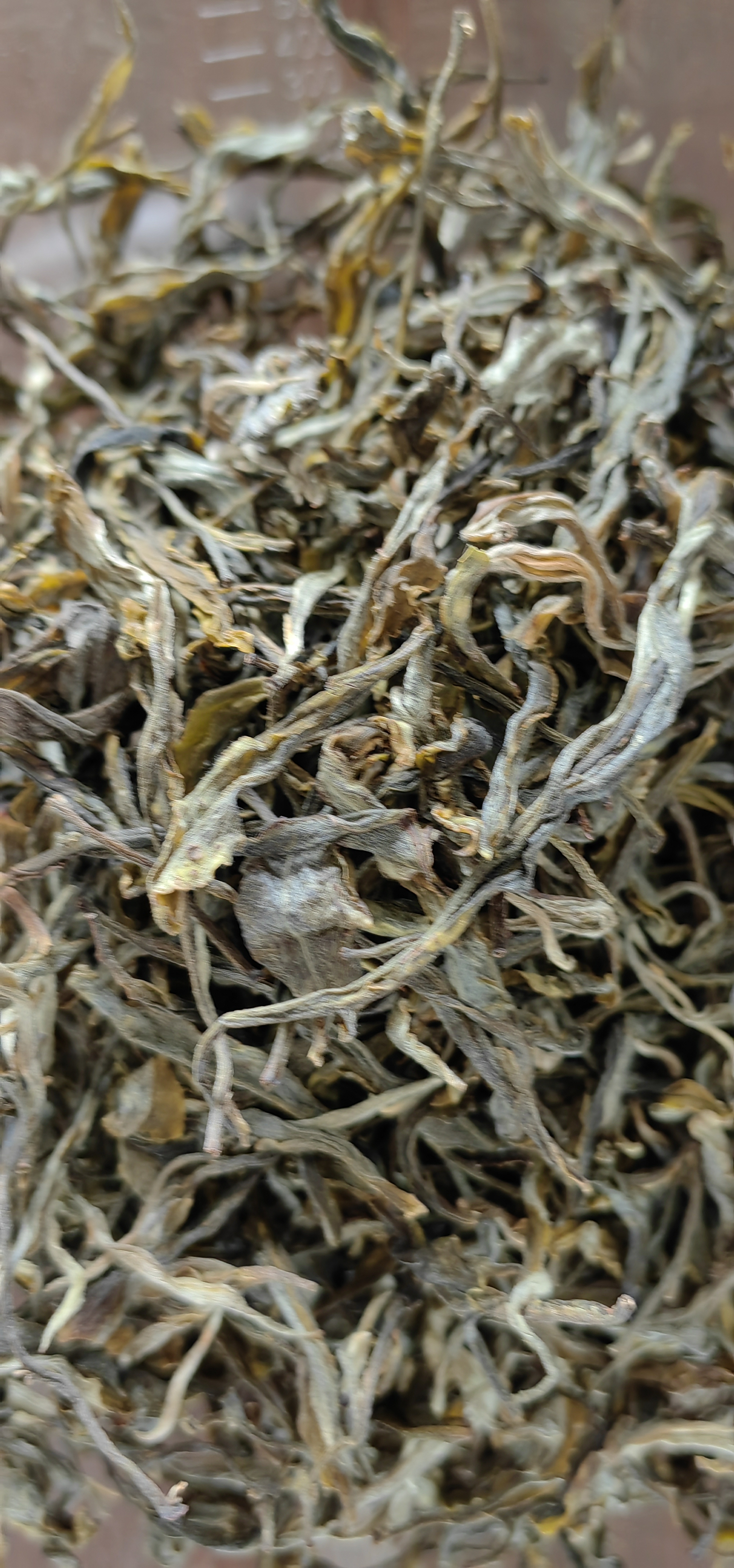 冰岛茶区。荒野茶散茶生茶
