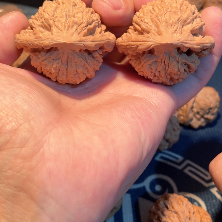 文玩核桃把件48全品官帽