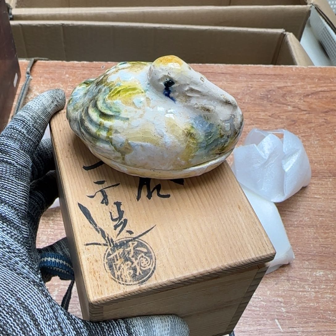 茶宠人物介绍在大学学习的