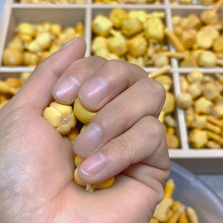 悠*～户就兔兔中央音乐学院