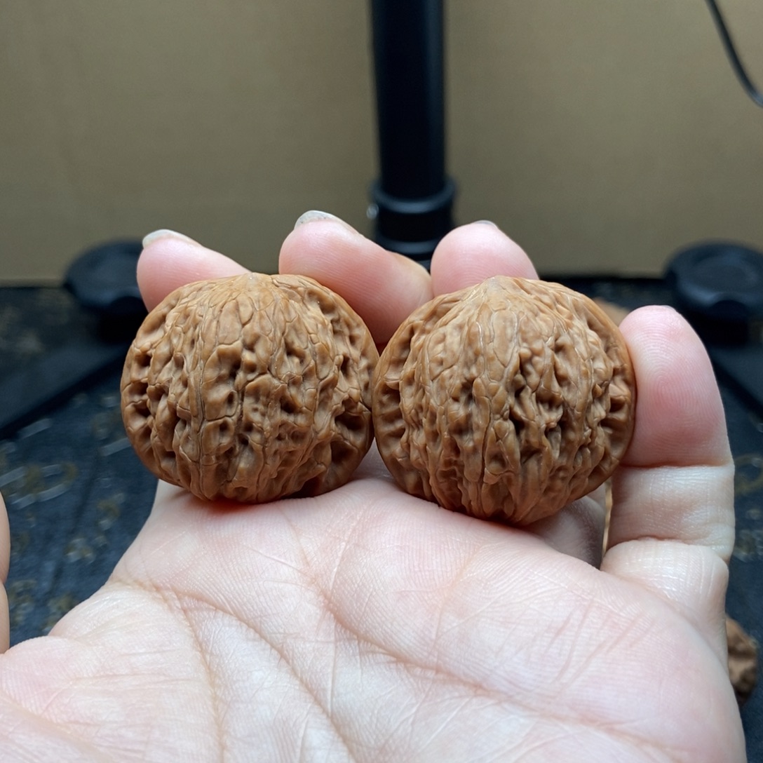 核桃36尺全品无修山地磨