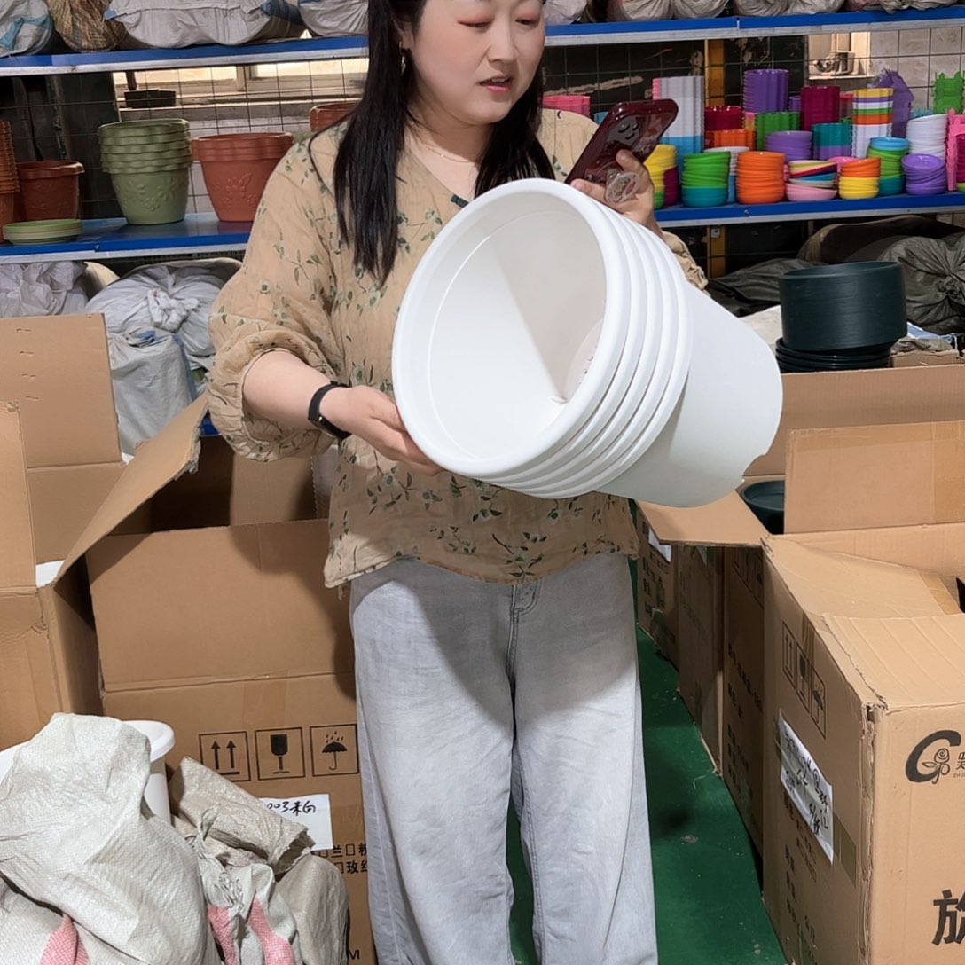 瑕疵四季盆5号盆无托，5个纯白色