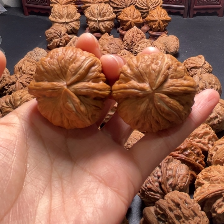 元宝小蟹钳39尺寸核桃哈哈哈哈哈哈