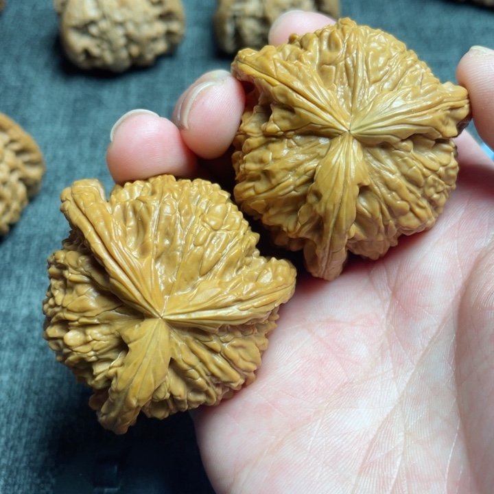 工艺三棱白狮子三棱