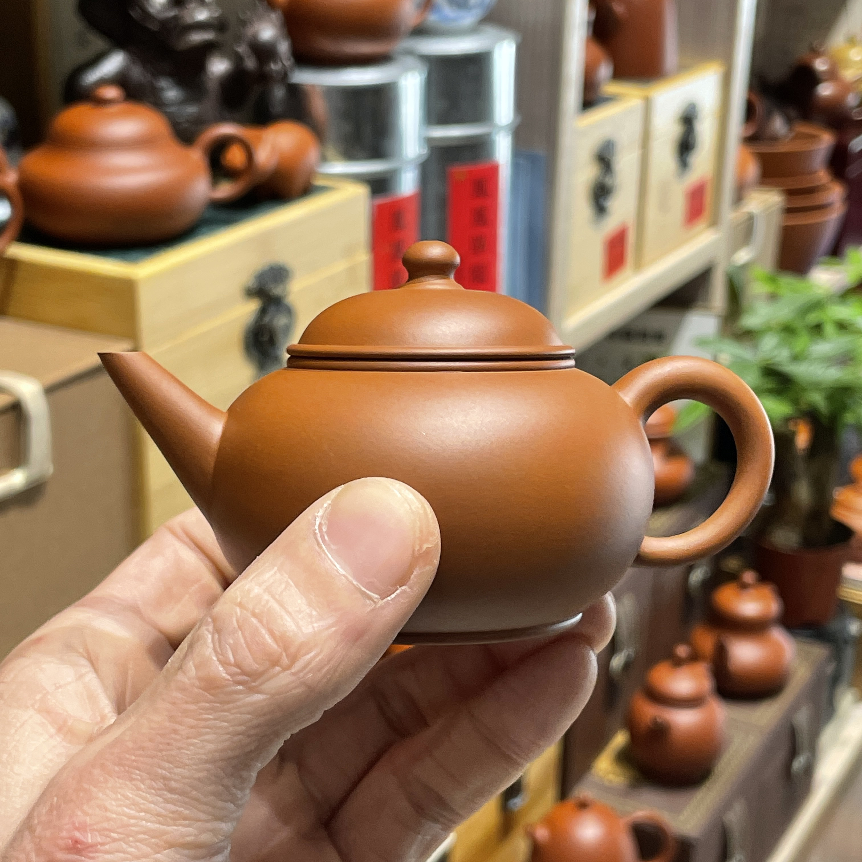 蔡铿老师鸡蛋黄泥作品，水平壶约100cc