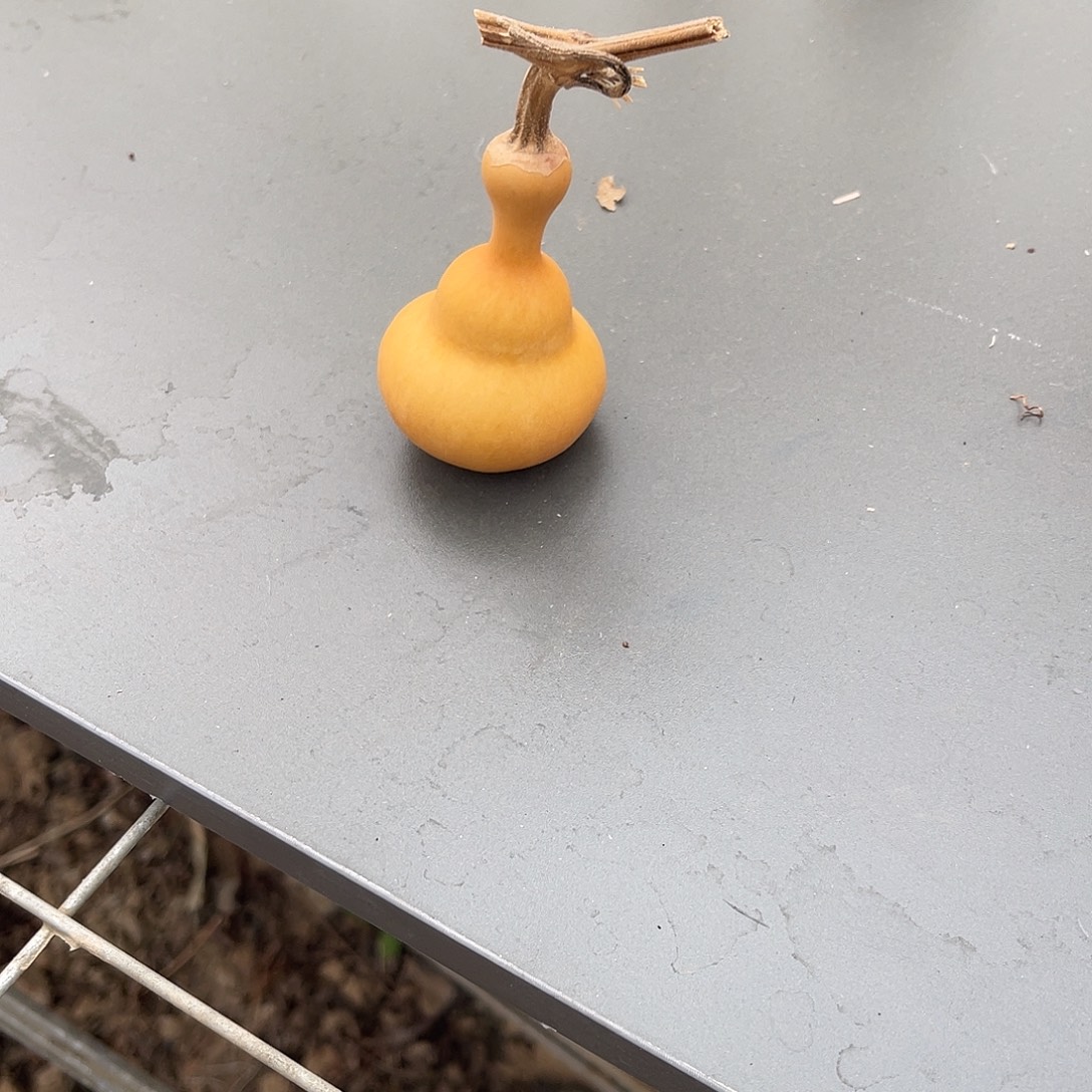 m***i58葫芦8888888888