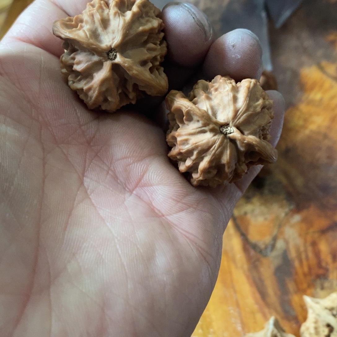 秦岭森林茂密和植被覆盖