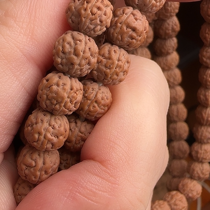 贰****金刚菩提吊坠一代龙一等籽