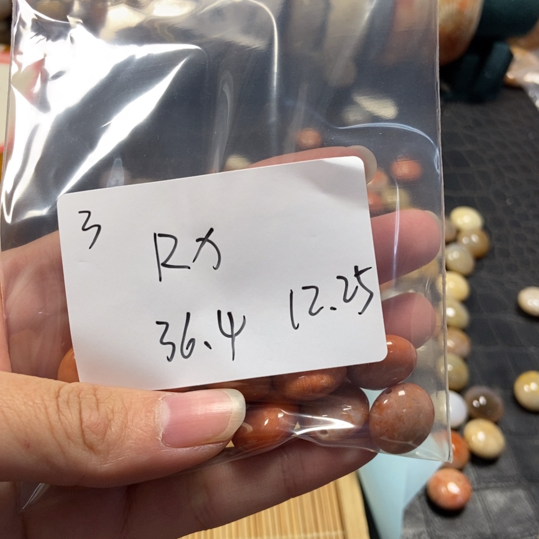 R***X硅化珊瑚（珊瑚玉）未镶嵌珠宝半成品3