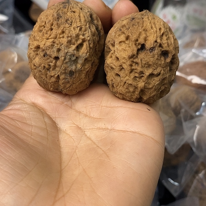 核桃云南铁核桃基地50