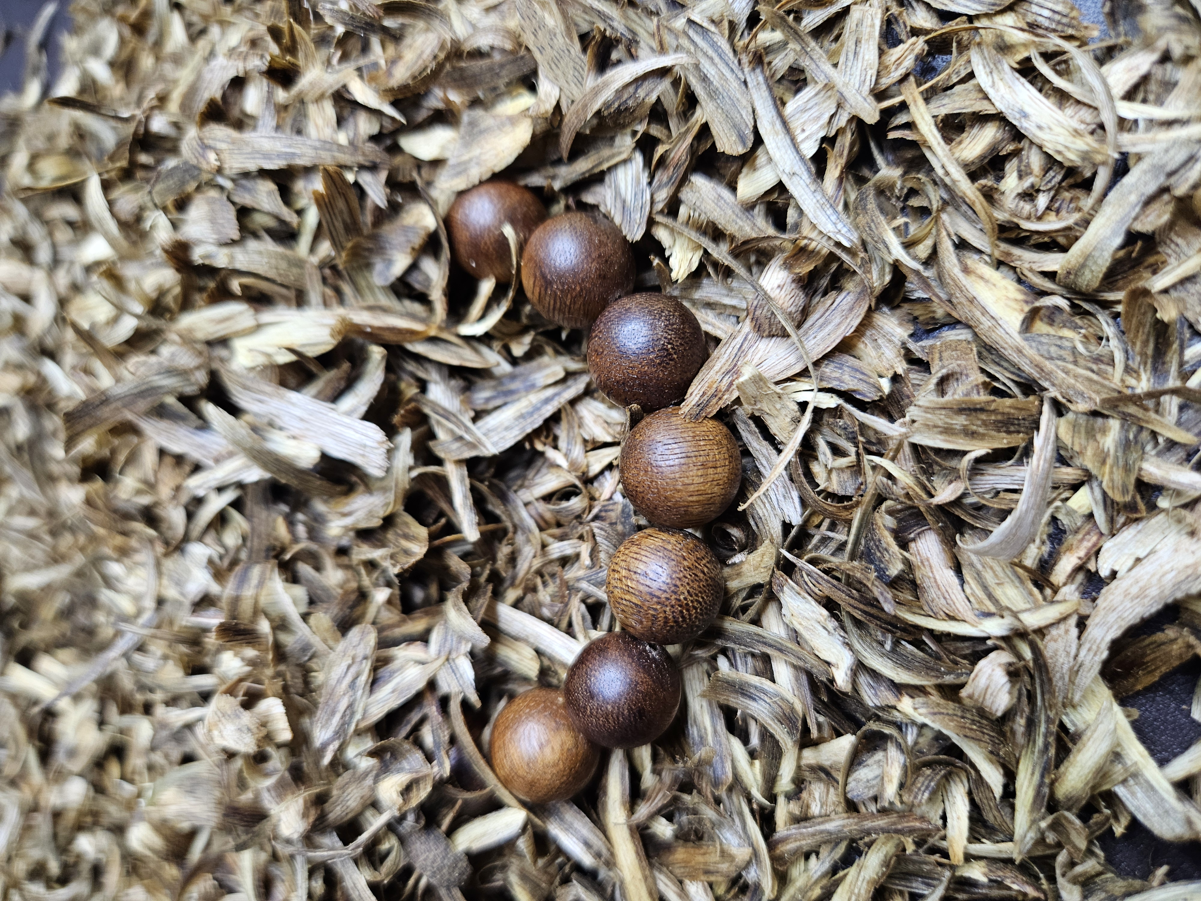 沉香YDI2海南 白棋 虫漏+沉香碎屑