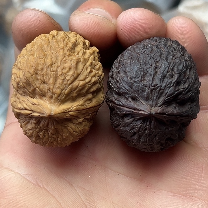 把件文玩核桃31号阴阳铁狮子40尺