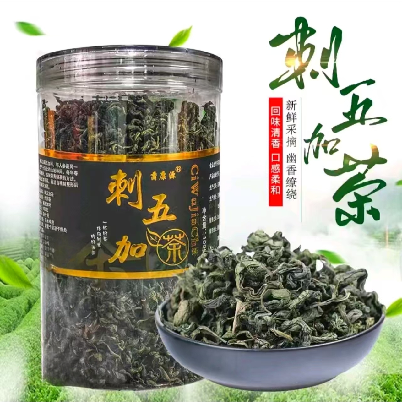 长白山刺五加春绿茶 山茶浓香耐泡