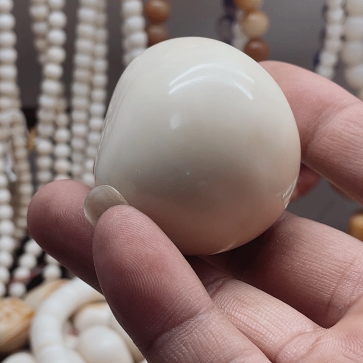 吊坠菩提根/象牙果霍*