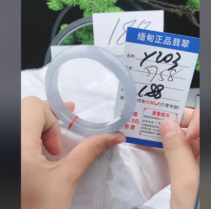 Y203【正品 缅甸翡翠】实物以直播间为准微色差