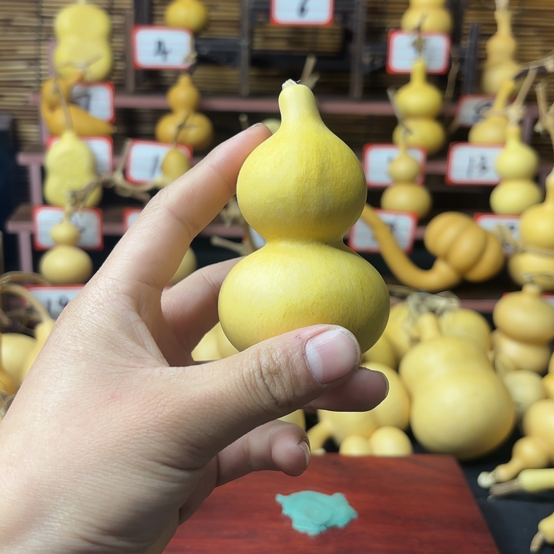 看好下单不退不换
