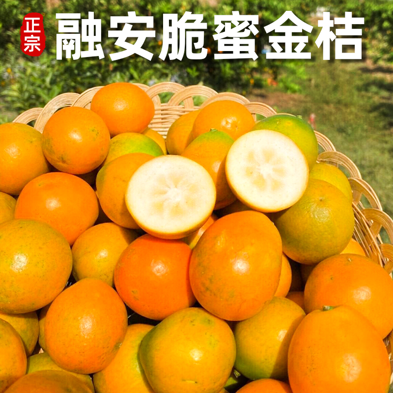 【顺丰快递】广西正宗融安三代脆蜜金柑 现摘水果 融安脆蜜金桔 