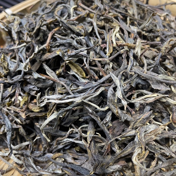 2025年 拉祜寨单株 散茶