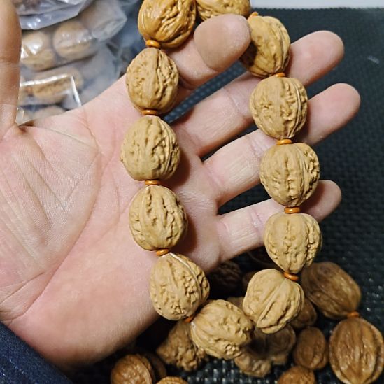 木质类纯野生山核桃      10