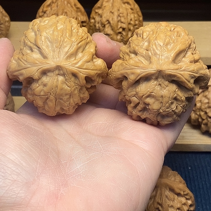 核桃全品51龙鼎福利