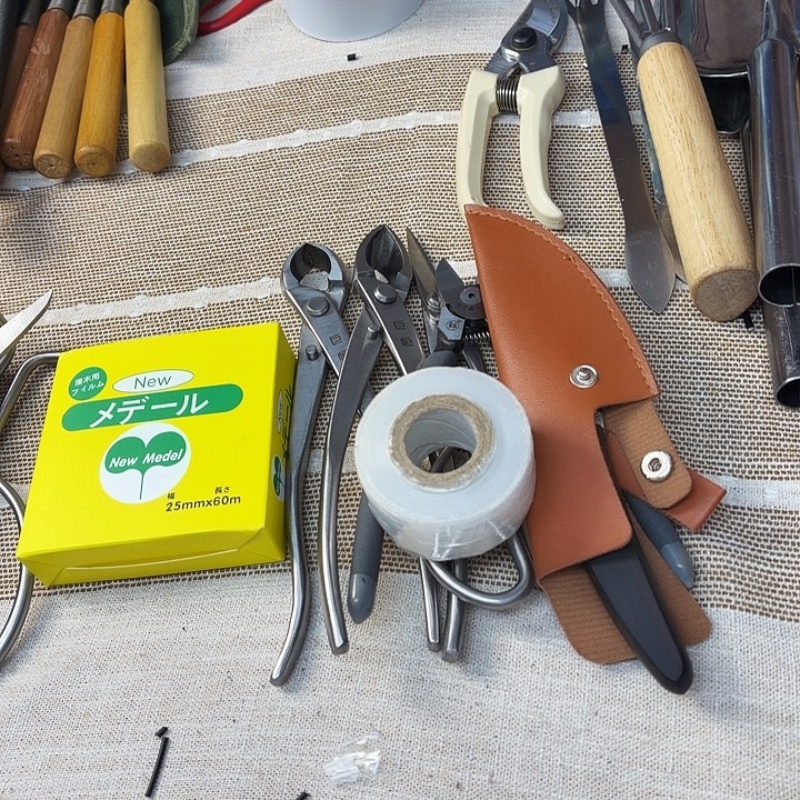 巨中三件套1福冈1糯米10嫁接刀1