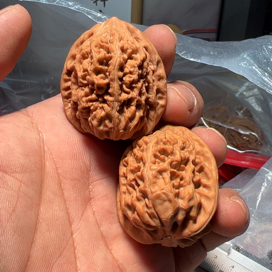 文玩核桃，老树凤凰台