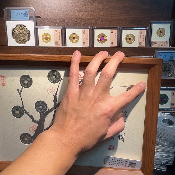 铜中h大五d摇钱树